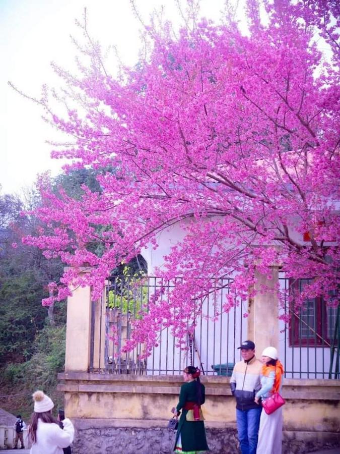 Nha Nghi T&T 호텔 동반 외부 사진