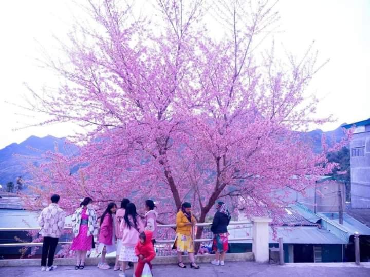 Nha Nghi T&T 호텔 동반 외부 사진